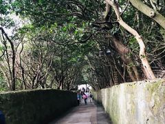 -普陀山慧济禅寺