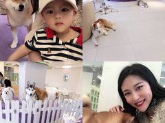 -怪兽屋·羊驼·猫咖·狗咖(俊华广场店)