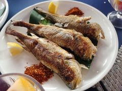 -339旋转餐厅(天府熊猫塔店)