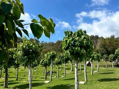 -三亚南山文化旅游区