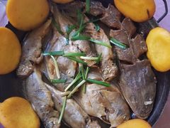 -宾朋海鲜特色美食餐厅·纯手工鲅鱼水饺(兴海路店)