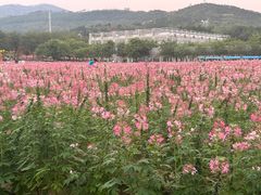 -盈香心动乐园
