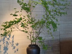 -成都观隐颐云台酒店-芳菲秀