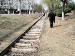 -永定河休闲森林公园