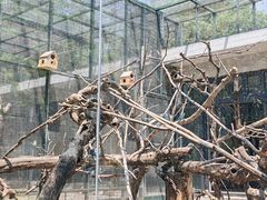 -天津市动物园