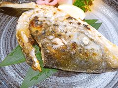 -锦鲤堂日本料理(莱茵之星店)