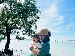 -宝安西湾红树林湿地公园