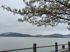 -无锡蠡湖国家湿地公园-蠡园