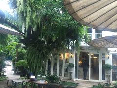 -Fern Forest Cafe
