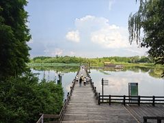 -溱湖国家湿地公园