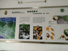 雨花石展厅-六合国家地质公园桂子山景区