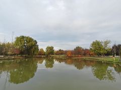 -西安浐灞国家湿地公园