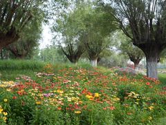 -汉长安城未央宫国家考古遗址公园