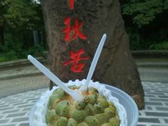 -日月潭