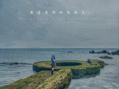 -海合安青岛极地海洋公园