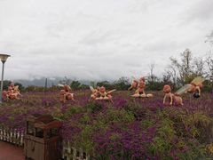 -抚仙湖禄充风景区