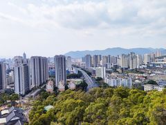 -金鸡山公园