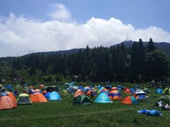 -武陵山森林公园
