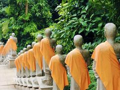 -西双版纳勐泐文化旅游区