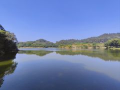 -番禺大夫山森林公园