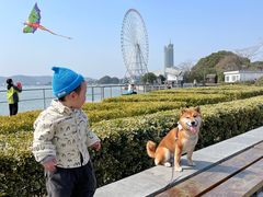 -蠡湖大桥公园