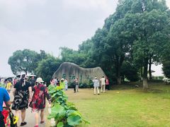-荷塘月色湿地公园·向阳花洲