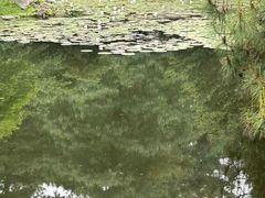 -杭州植物园