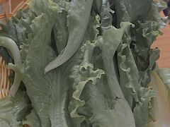-妈妈手(山大总店)