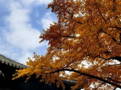 -红螺寺