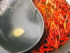 -川西坝子(老军营店)