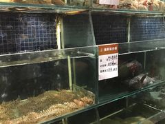 -吕氏疙瘩汤·私家菜馆(慈云寺店)