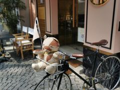 -殷姐糯米包油条