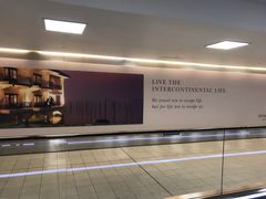 -约翰·菲茨杰拉德·肯尼迪国际机场