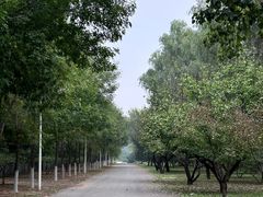 -青龙湖公园