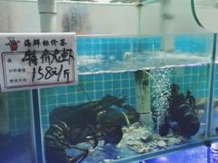 龙虾-天伦海鲜·老味道·青岛菜(栈桥天主教堂店)