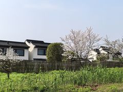 -花博汇(知音花月夜)