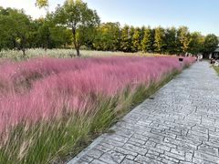 -柳鹭田园区