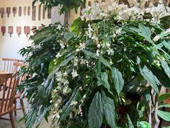 -花二家·生活馆(六运小区店)