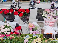 -溪岸路花鸟市场