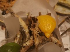 -Tapa Tapa