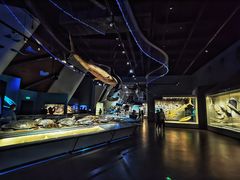 -贝林大翅鲸简餐厅(国家海洋博物馆店)