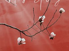 -东华门大街小区