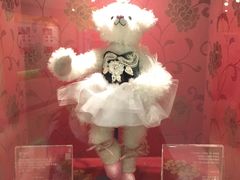 -济州岛泰迪熊博物馆