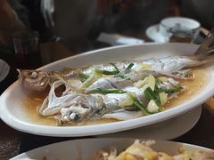清蒸白鱼-观桥阁(锦溪店)