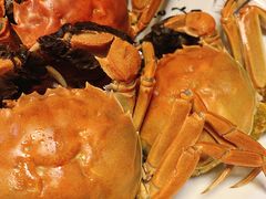 -小牛哈尼章鱼水煎肉(金鹰店)