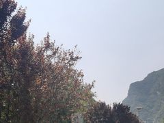 -少华山国家森林公园
