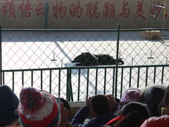 -东方熊牧场