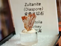 -苏坦土耳其西餐厅(玉林店)