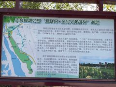 -绿堤公园
