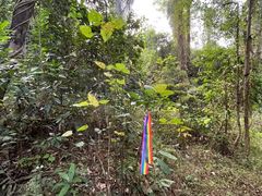 -火炉山森林公园